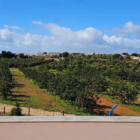 Quinta Da Bornacha - Casa B E Casa C דירה *