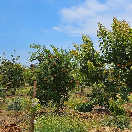 Quinta Da Bornacha - Casa B E Casa C * Vila Nova De Cacela