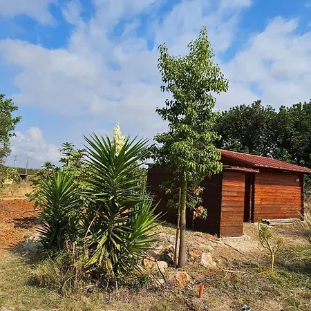 Quinta Da Bornacha - Casa B E Casa C דירה