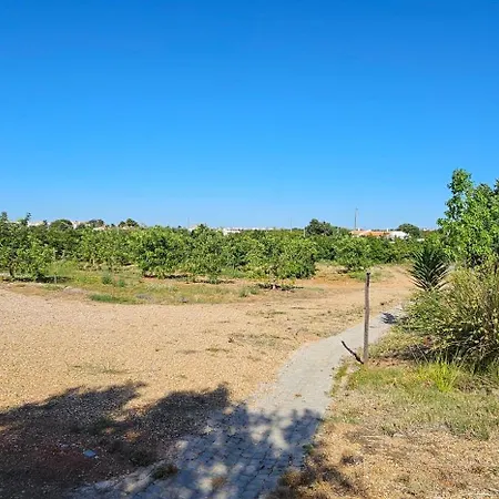 Quinta Da Bornacha - Casa B E Casa C דירה וילה נובה דה קסלה
