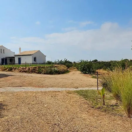 Quinta Da Bornacha - Casa B E Casa C