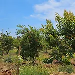 Quinta Da Bornacha - Casa B E Casa C * Vila Nova de Cacela