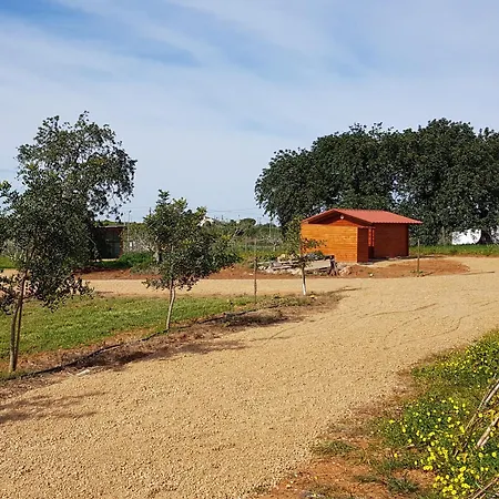 Quinta Da Bornacha - Casa B E Casa C